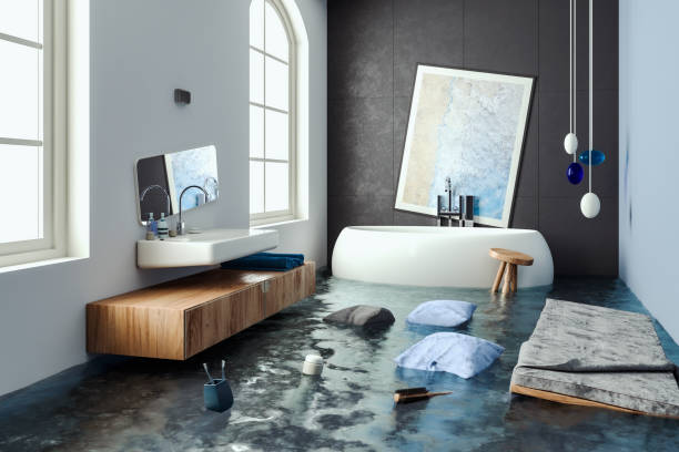 Best Basement water damage restoration  in Manhasset Hills, NY