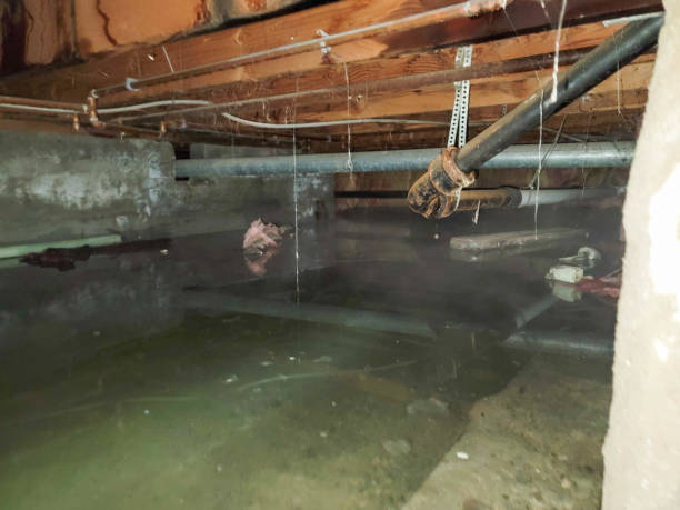 Sewage cleanup and water damage restoration in NY