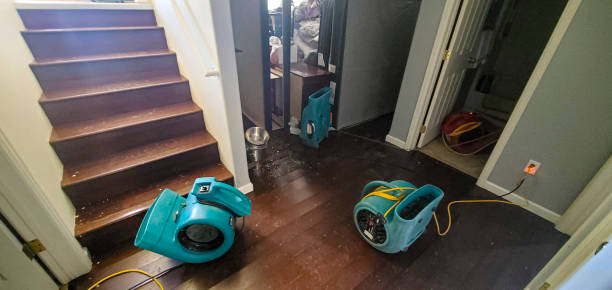 Best Water damage mitigation services  in Manhasset Hills, NY