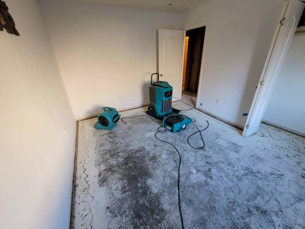 Best 24/7 water damage repair  in Manhasset Hills, NY