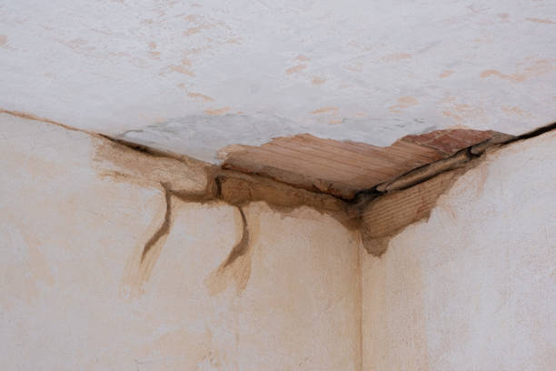 Best Water damage cleanup near me  in Manhasset Hills, NY