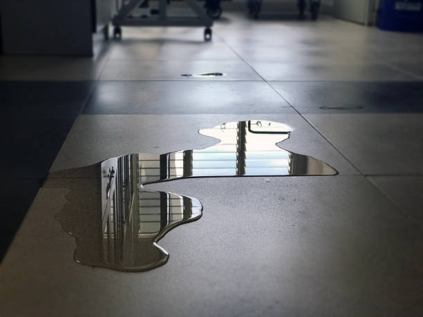 Best Water damage restoration experts  in Manhasset Hills, NY