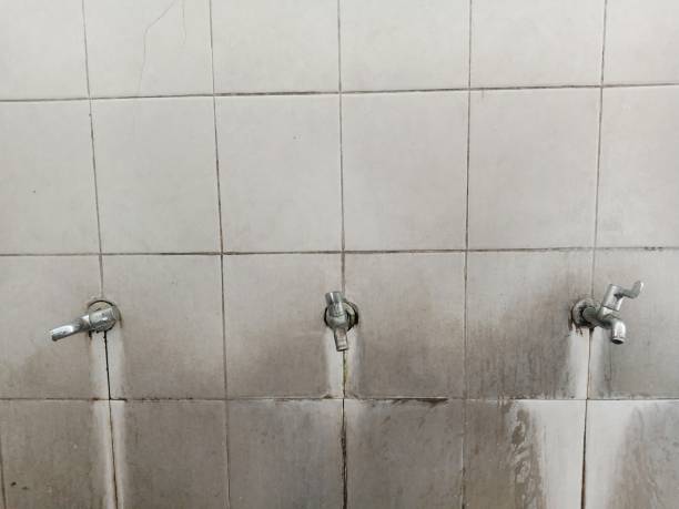 Best Sewage cleanup and water damage restoration  in Manhasset Hills, NY