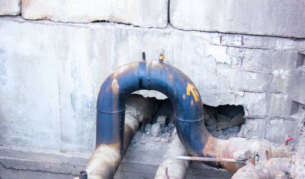 Best Basement water damage restoration  in Manhasset Hills, NY